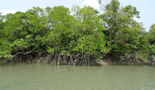 和情人分手感人落泪的一段话