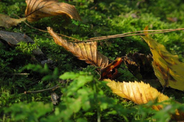 和情人分手感人落泪的一段话