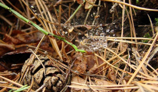 和情人分手感人落泪的一段话