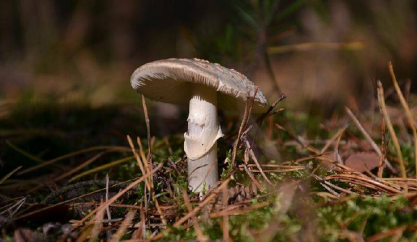 和情人分手感人落泪的一段话