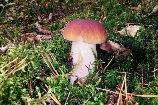 和情人分手感人落泪的一段话