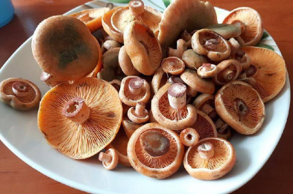 和情人分手感人落泪的一段话