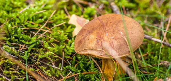 和情人分手感人落泪的一段话