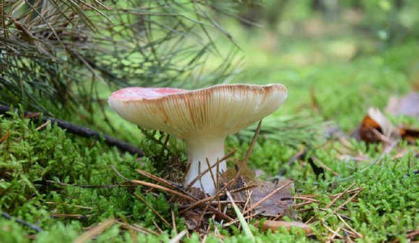 和情人分手感人落泪的一段话