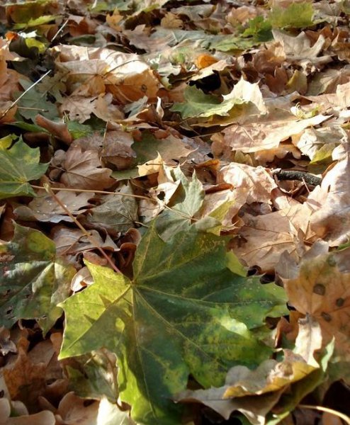 和情人分手感人落泪的一段话