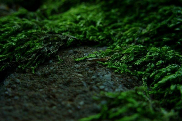 和情人分手感人落泪的一段话