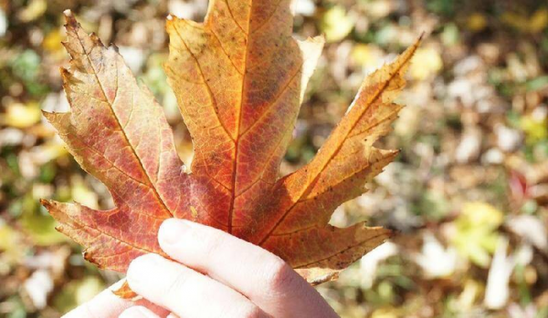 和情人分手感人落泪的一段话