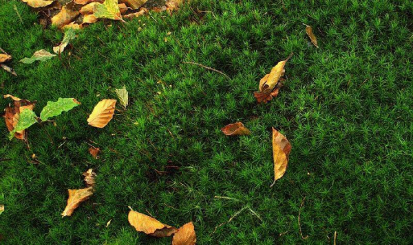 和情人分手感人落泪的一段话