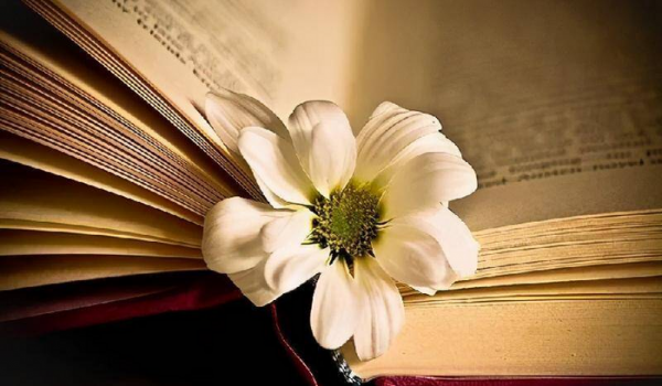 对付自私脾气大的男人的绝招