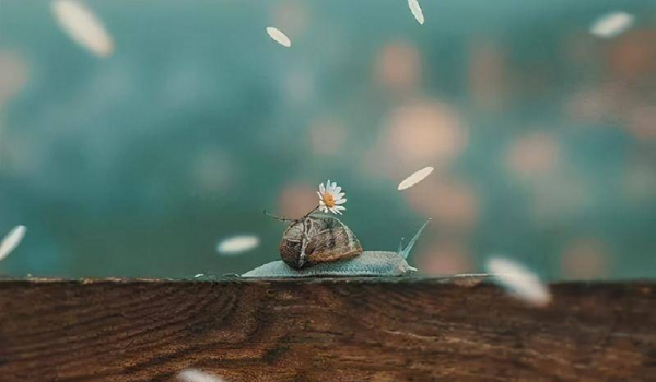 对付自私脾气大的男人的绝招