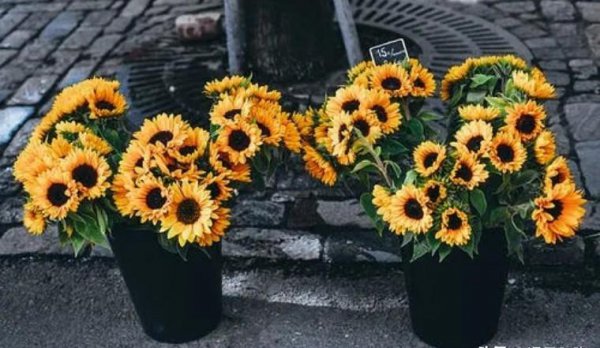 一个女人暗恋你的表现