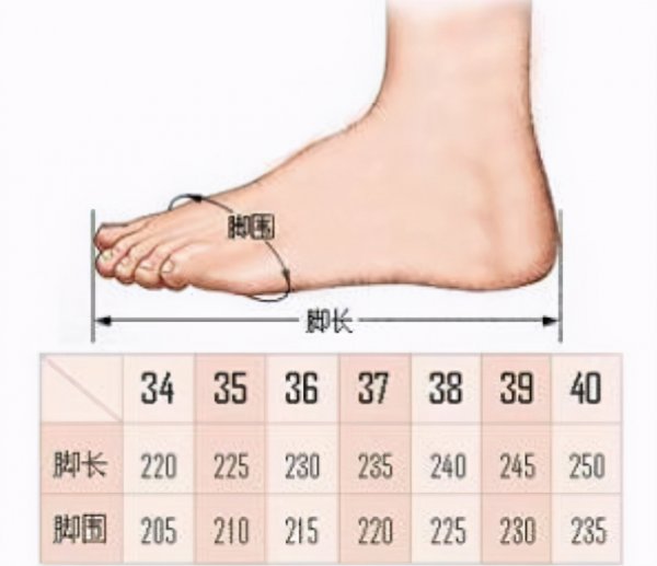 中国古代一尺等于多少厘米