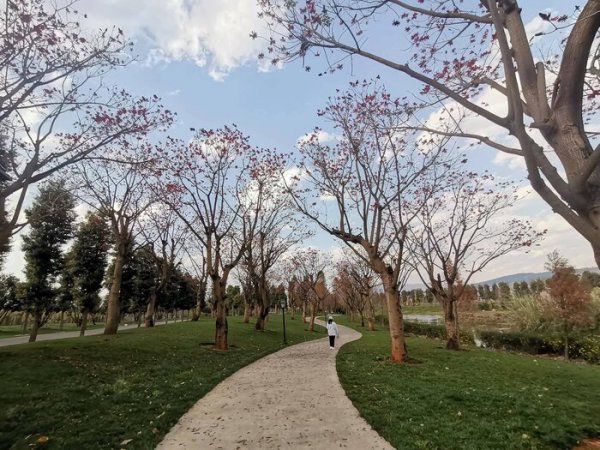 生活的意义到底是什么