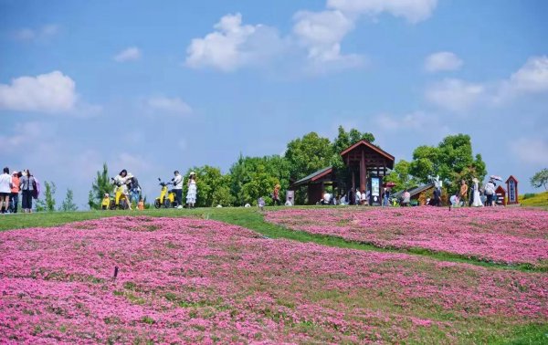 生活的意义到底是什么