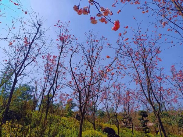 生活的意义到底是什么