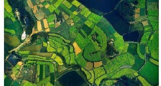 战国七雄地理位置示意图