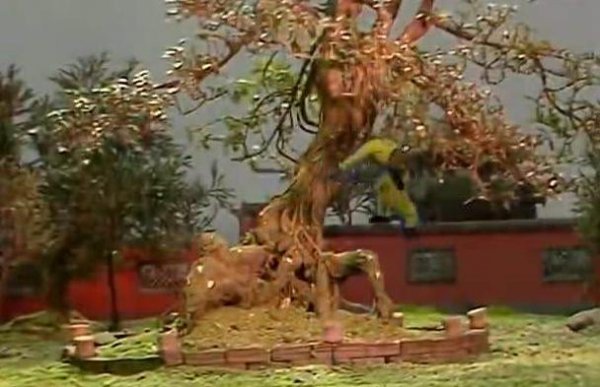 人参果树下面到底藏着什么秘密