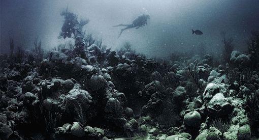 一夜消失的玛雅文明所处的地理位置