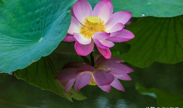 中元节放河灯的意义和由来