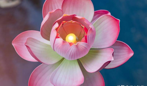 中元节放河灯的意义和由来