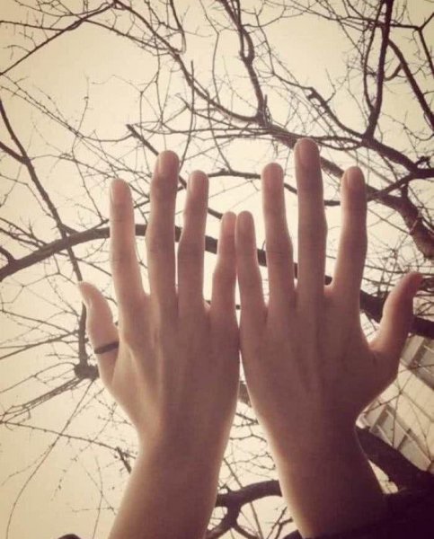 测二人缘分是否已尽免费