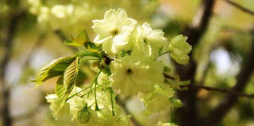 测试他因为什么看上你哪一点