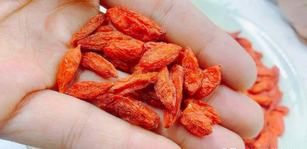 枸杞什么样的好怎么分辨