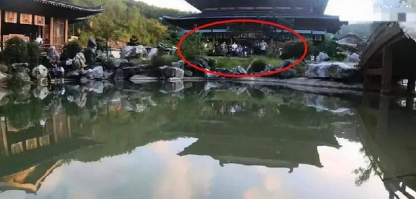 国子监来了个女弟子好看吗