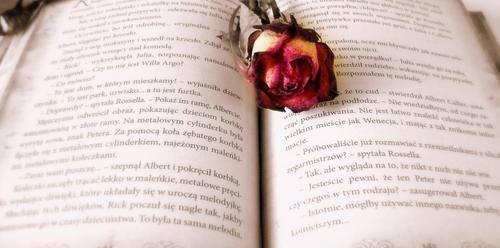 情侣保持新鲜感十条