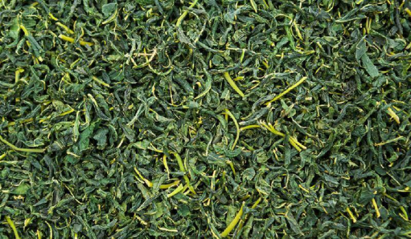 桑叶茶的制作方法图解