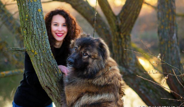 世界上最凶猛的狗排行榜前十名