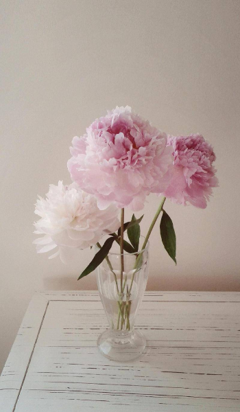 女命上等命格有哪些