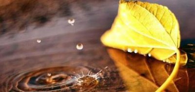 弘一法师对人生感悟境界 弘一法师说过的经典话语