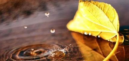 弘一法师对人生感悟境界