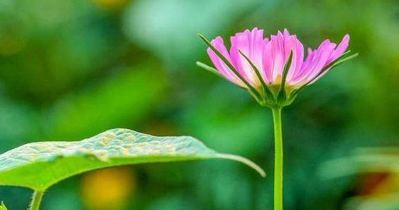 弘一法师对人生感悟境界