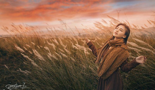 叔本华的哲学思想主张和主要著作