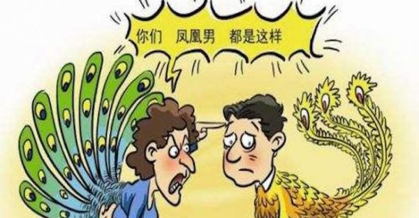 凤凰男是指什么样的男生