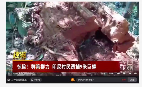 世界上最长的蟒蛇有多长有多大