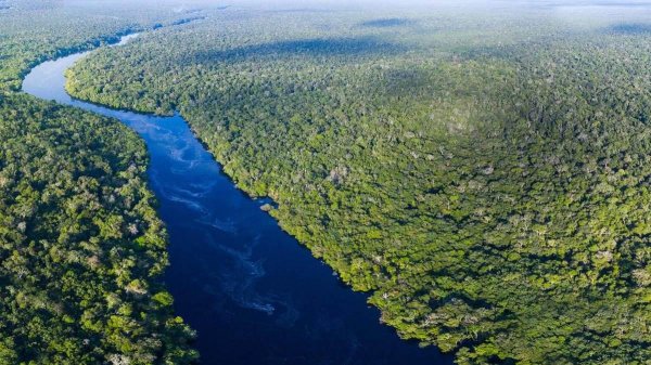 世界上最长的蟒蛇有多长有多大