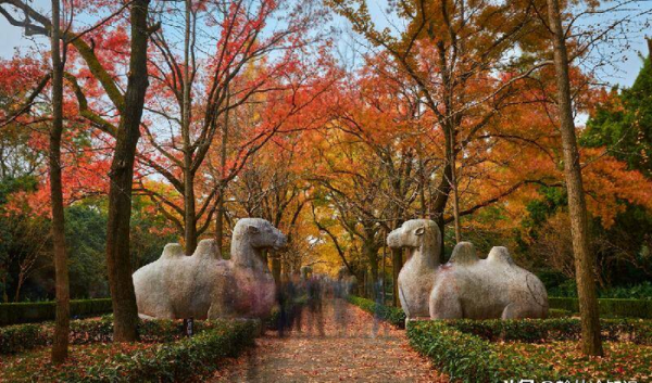 朱元璋有几个儿子分别叫什么名字