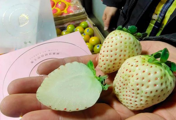 世界上最贵的水果排名