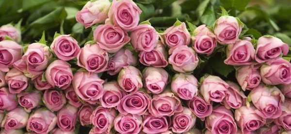 男人花心是不是真的改不了