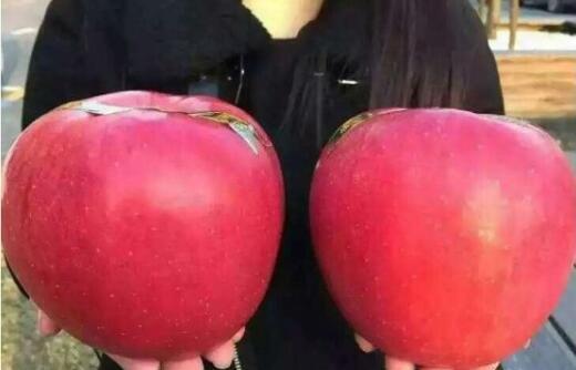 世界上最小的猴子叫什么