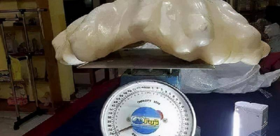 世界上最大的珍珠有多大图片 最大珍珠蚌在哪里