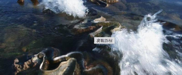 世界上最大的珍珠有多大图片