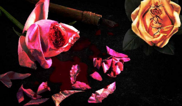 女性割礼指的是什么意思