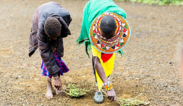 女性割礼指的是什么意思