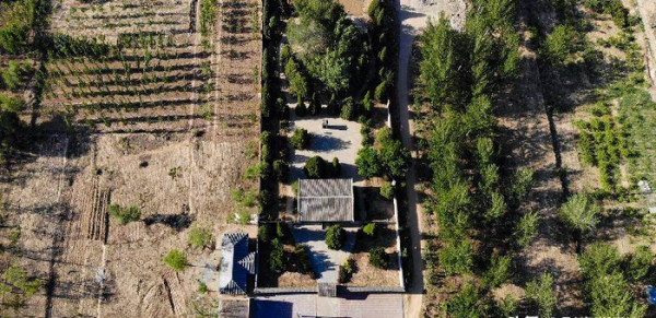 武大郎潘金莲是哪里人