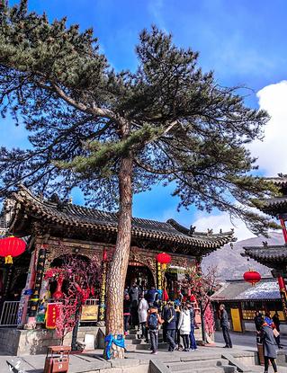 中国拜佛最灵验的5个地方