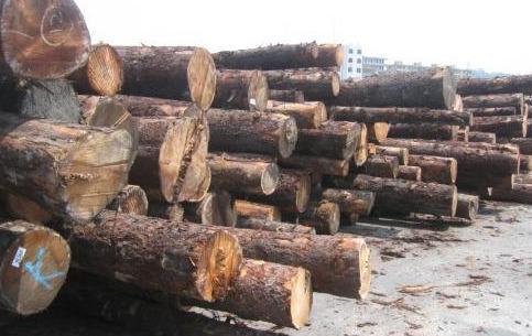 福建莆田系是什么意思